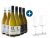 6 x 0,75-l-Flasche Weinpaket Neuseelands Sauvignon Blanc Welt mit 2er Weißwein-Gläserset LIBBEY