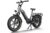 DOTMALL E-Bike Himiway Big Dog 20 zoll Ebike mit 250W Motor und 48V 20AH Akku